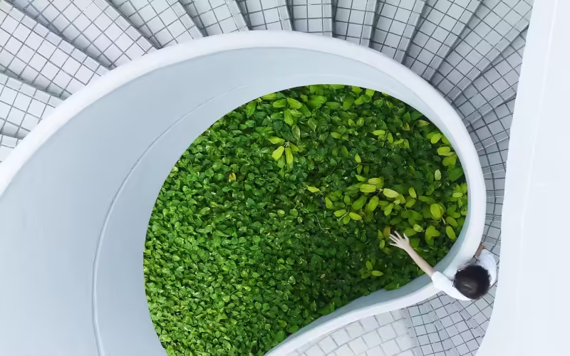 Гармония Анахаты